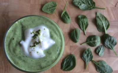 RECIPE: Matcha Green Tea Recovery Smoothie as seen on CHCH Morning Live
