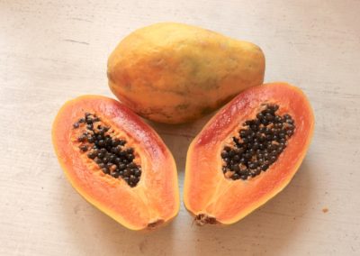 A Papaya Story: My Grandmother, GMOs and Agriculture