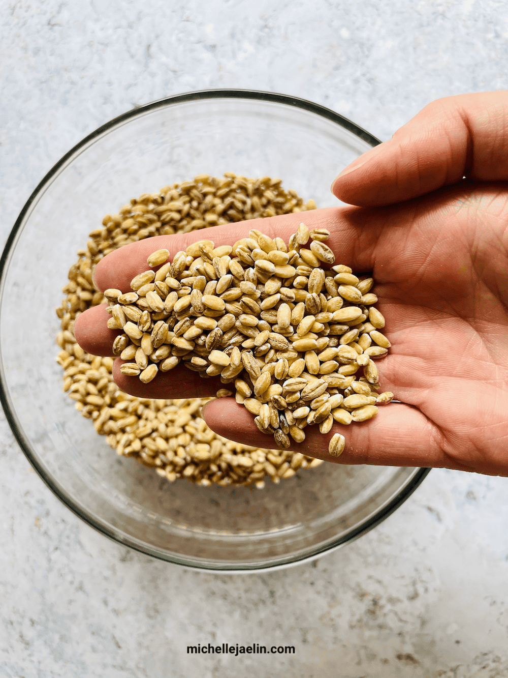 close up of pot barley in a bowl and hand