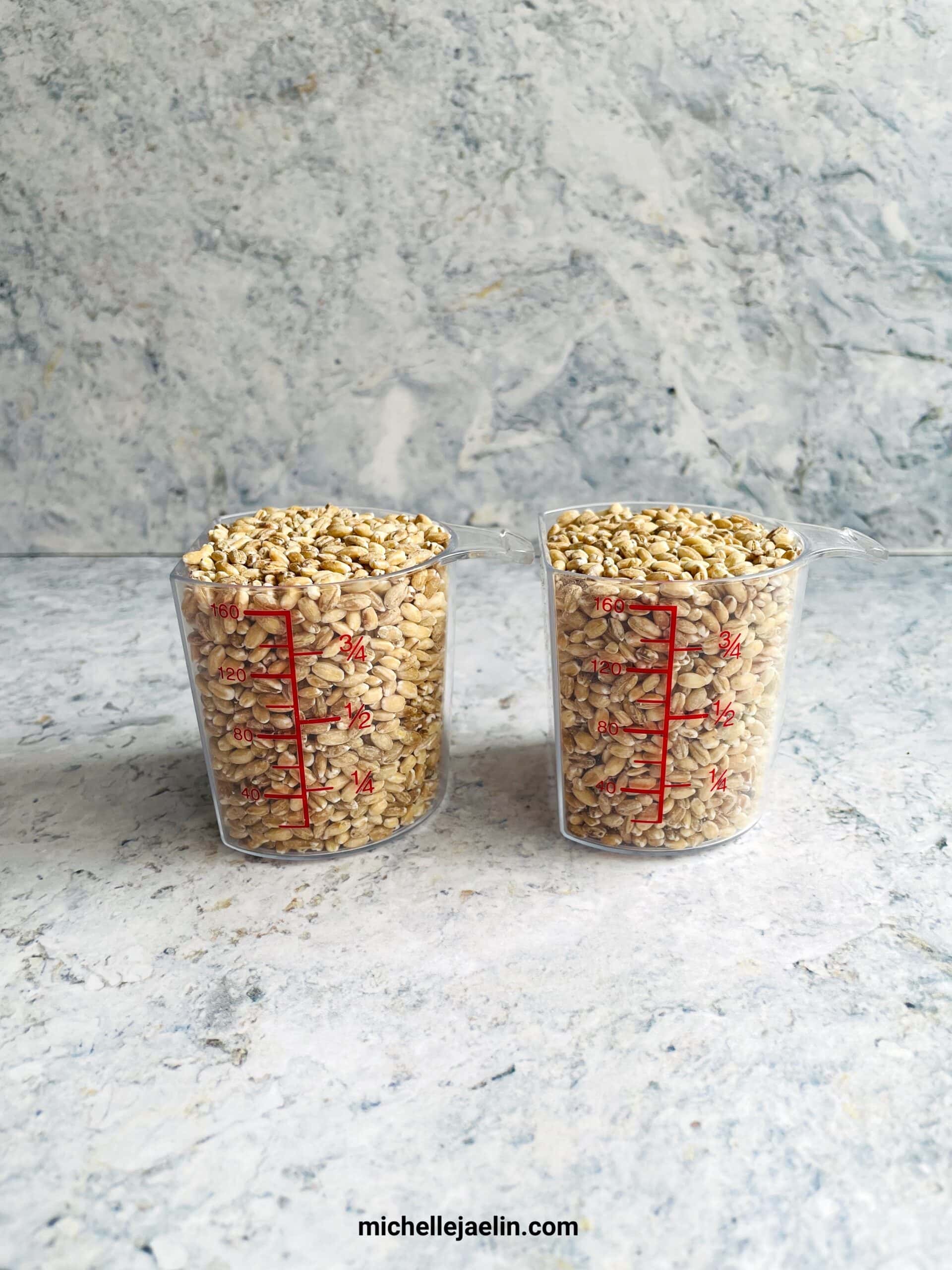 uncooked pot barley in 2 rice cups