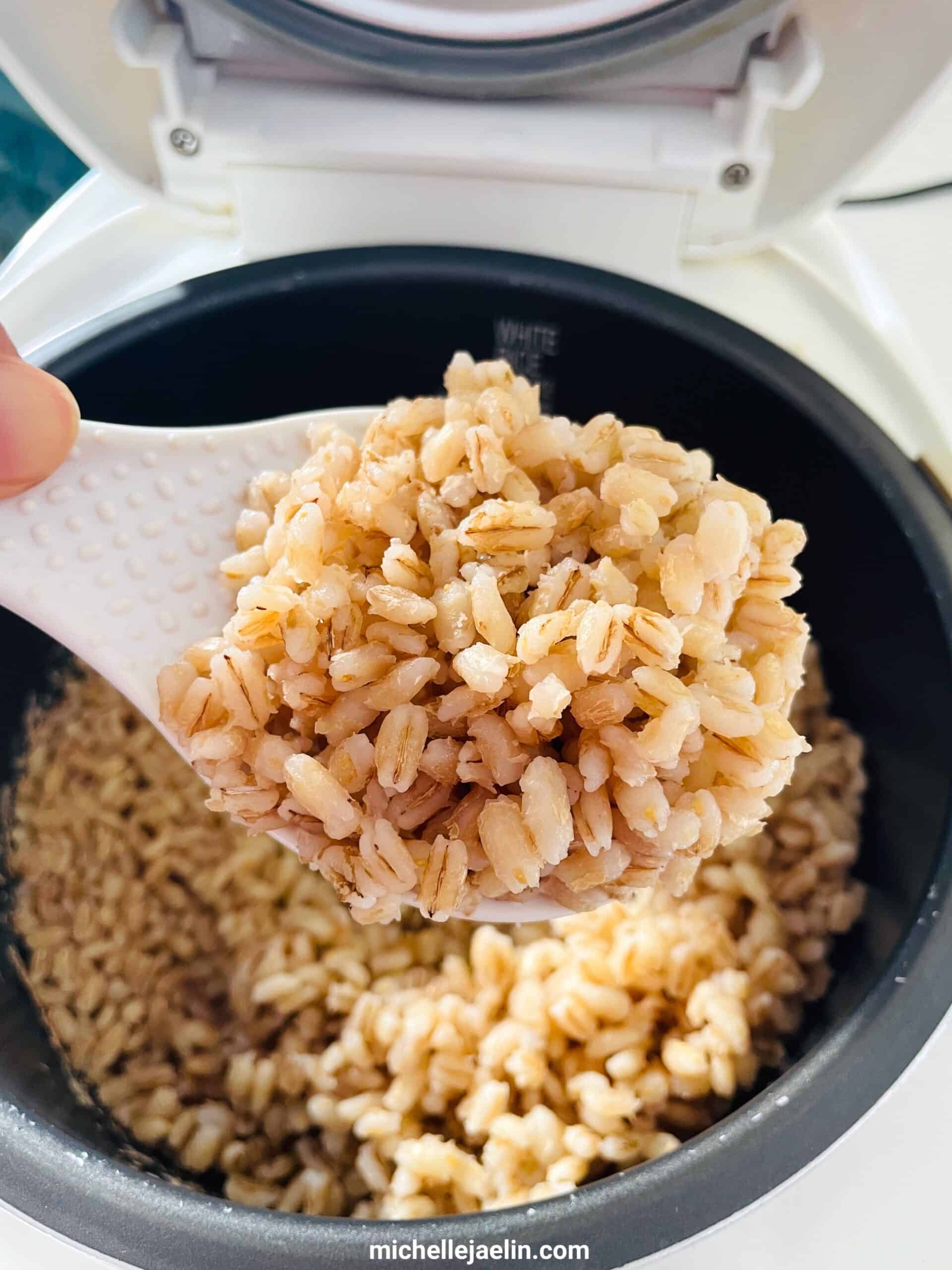 Barley cooked in rice cooker inner pot and fluffed up with a rice paddle