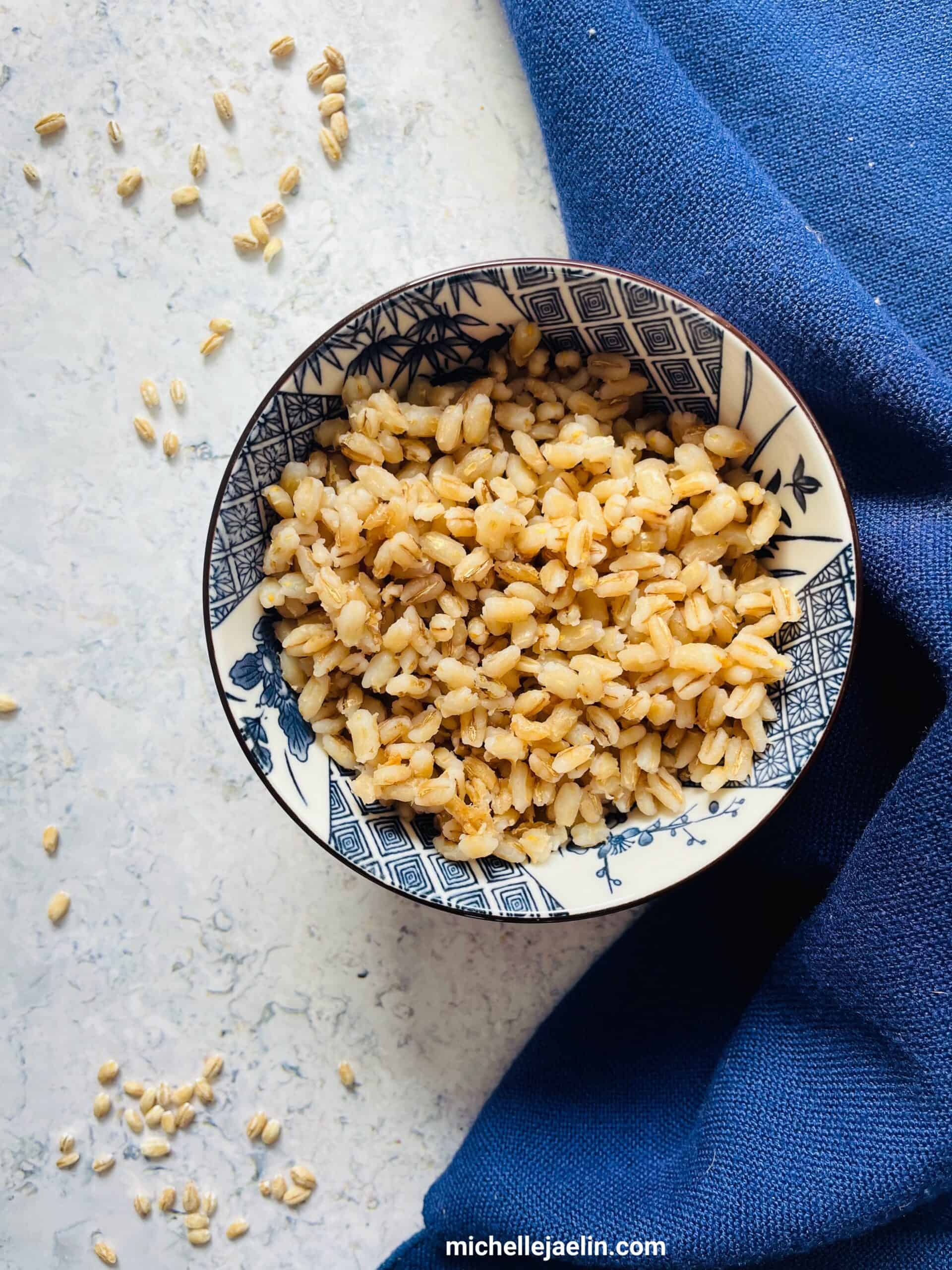 IMG_2829 WM cooked barley in a rice bowl